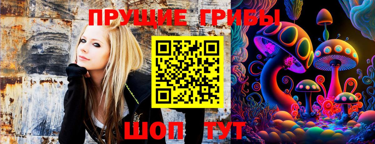 наркотики  Галлюциногенные грибы Cubensis  Вход с VPN  Кохма 